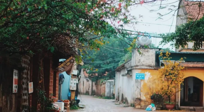The Ancient Hanoi Villages in Early Winter: A Serene, Fairy Tale-like Beauty with a 500-Year-Old History