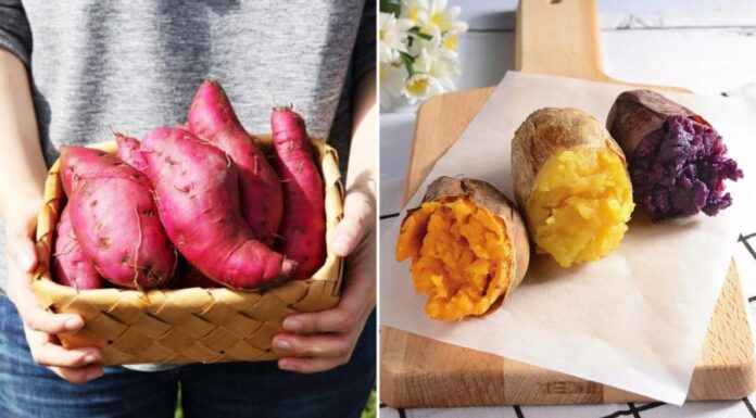 The Two Golden Times to Eat Sweet Potatoes for Weight Loss and Improved Digestion