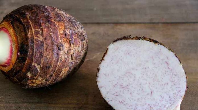 Is It Better to Buy Heavy or Light Taro?