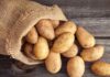 The Ultimate Guide to Potato Preservation: Prevent Greening and Sprouting for Extended Freshness