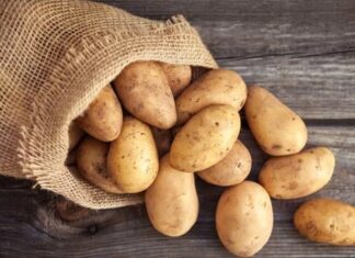 The Ultimate Guide to Potato Preservation: Prevent Greening and Sprouting for Extended Freshness