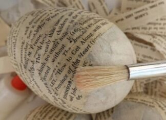 The Ultimate Guide to Egg Preservation: Beyond the Refrigerator