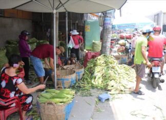 The 20-Year-Old Market in the Heart of Saigon: A Single Product Offering That Always Draws a Crowd