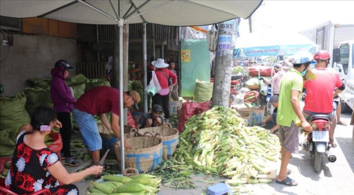 The 20-Year-Old Market in the Heart of Saigon: A Single Product Offering That Always Draws a Crowd