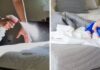 The Ultimate Guide to Refreshing Your Mattress: Eliminating Odors Without the Hassle of Washing