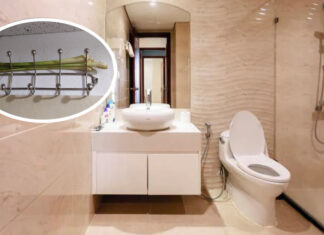 The Ultimate Guide to Eliminating Bathroom Odor: Secrets to Keeping Your Bathroom Fresh and Odor-Free