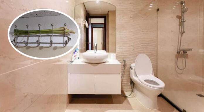 The Ultimate Guide to Eliminating Bathroom Odor: Secrets to Keeping Your Bathroom Fresh and Odor-Free