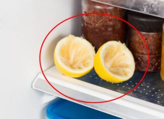 The Ultimate Odor Eliminator: Freshen Your Fridge Overnight