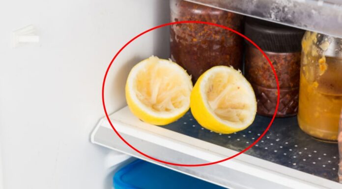 The Ultimate Odor Eliminator: Freshen Your Fridge Overnight