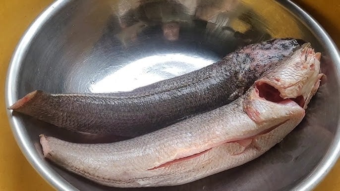 The Ultimate Guide to Marinating Fish: Transform Your Dish with a Blast of Flavour and a Tender, Yet Firm Texture.