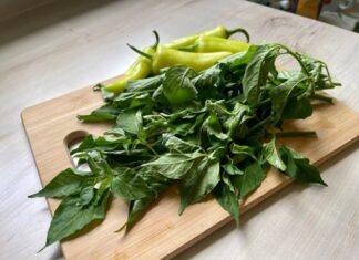 The Leaf that Grows in Abundance is a Calcium-Rich, Liver-Nourishing, Cardiac-Tonic Wonder