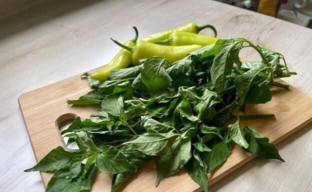 The Leaf that Grows in Abundance is a Calcium-Rich, Liver-Nourishing, Cardiac-Tonic Wonder