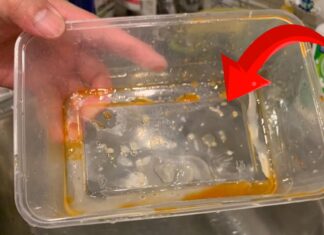 The Ultimate Guide to Grease-Free Bliss: Transform Your Stained Plastic Containers Without the Scrub