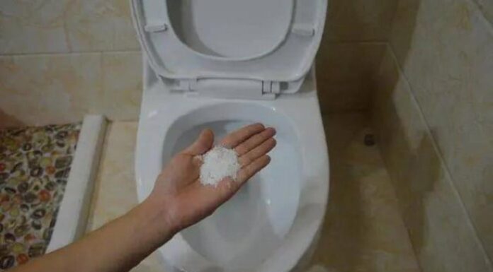 The Magic of Salt and Laundry Detergent: A Dynamic Duo for Your Home