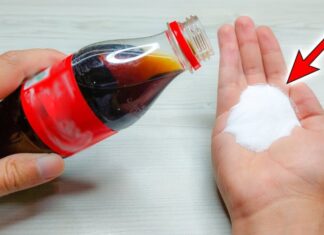 The Magic of Salt and Sugar: A Simple Solution for Household Problems