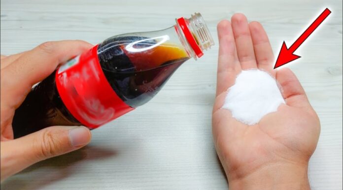 The Magic of Salt and Sugar: A Simple Solution for Household Problems