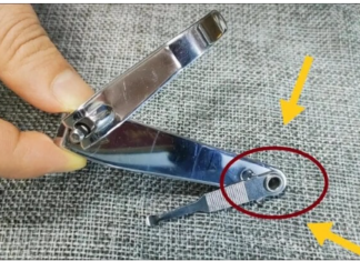 What Are the Little Holes on Your Fingertips For? It Turns Out They Have 5 Amazing Uses That Many People Don’t Know About.