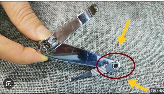 What Are the Little Holes on Your Fingertips For? It Turns Out They Have 5 Amazing Uses That Many People Don’t Know About.