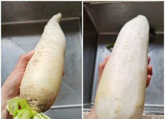 The Ultimate Winter Delicacy: A Tasty Treat for Just 35,000 VND per Kilo.