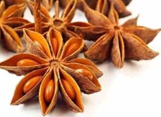 The Miracle of Vietnam’s ‘Trillion-Petaled Flower’: A Treasure Trove of Nutrients