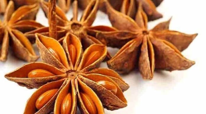 The Miracle of Vietnam’s ‘Trillion-Petaled Flower’: A Treasure Trove of Nutrients