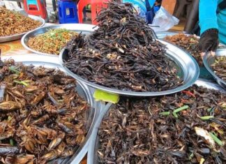 The Ultimate Guide to the Unusual Insect Market of the West: Unveiling the Alluring “Spring Tonic” Legend that Fascinates Men