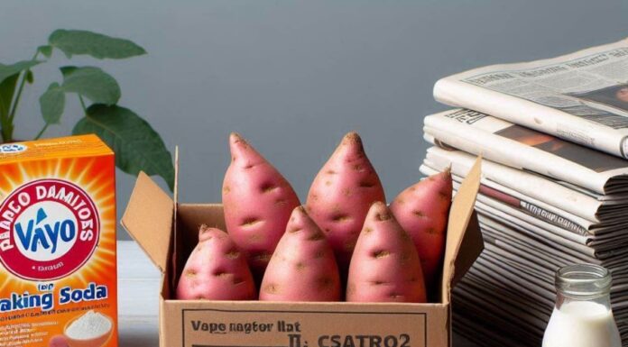 The Ultimate Guide to Sweet Potato Success: Year-Round Storage Hacks for a Tasty Treat