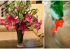 The Magic Elixir to Keep Your Bouquets Blooming and Fragrant for Days: A Few Drops Go a Long Way