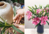 The Secret to Long-Lasting Flowers: A Simple Trick to Try