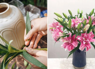 The Secret to Long-Lasting Flowers: A Simple Trick to Try