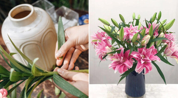 The Secret to Long-Lasting Flowers: A Simple Trick to Try