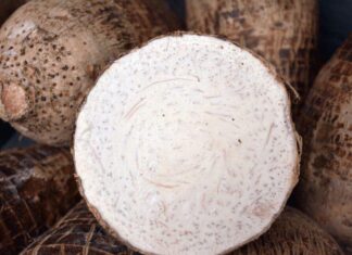 The Ultimate Guide to Choosing the Perfect Taro for Your Hot Pot: A Connoisseur’s Tips