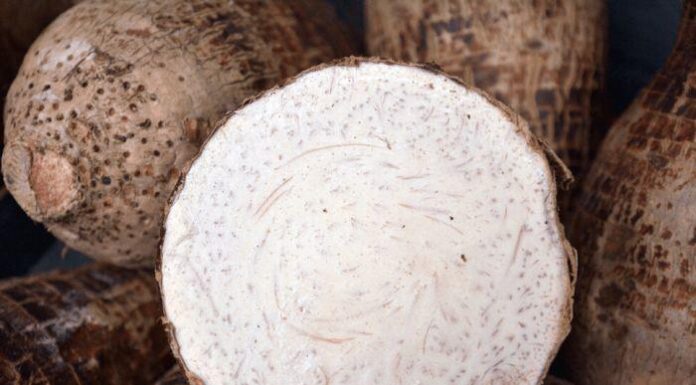 The Ultimate Guide to Choosing the Perfect Taro for Your Hot Pot: A Connoisseur’s Tips