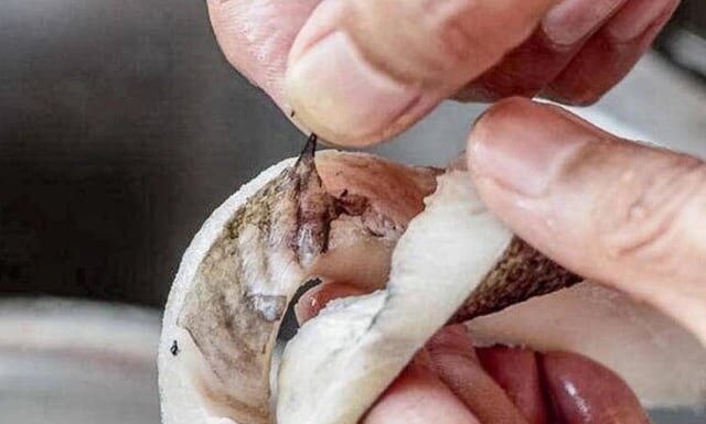 The Chef’s Secret: The One Ingredient That Makes Your Fish Dishes Smell and Taste Amazing