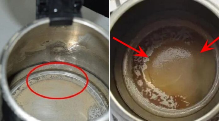 The Ultimate Guide to Descaling Your Kettle Without the Elbow Grease