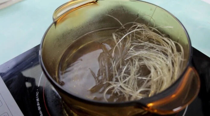 The Ultimate Guide to Identifying Authentic Dong Noodles