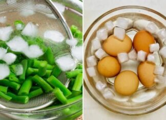 The Ultimate Guide to Summer Dining: 7 Dishes That Are Best Served Chilled