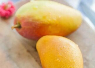 The Secret to Choosing the Perfect Mango: A Guide to Navigating the Sweet and Tangy World of Mangoes.