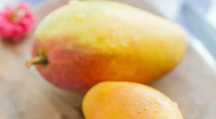 The Secret to Choosing the Perfect Mango: A Guide to Navigating the Sweet and Tangy World of Mangoes.