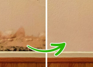 The House Has an Unpleasant Odor: 6 Suspect Signs to Look Out For