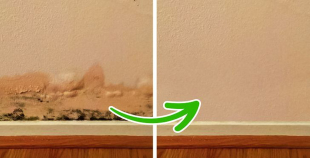 The House Has an Unpleasant Odor: 6 Suspect Signs to Look Out For