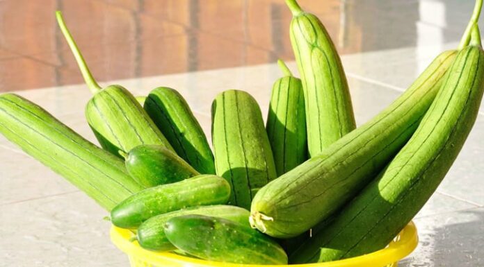 The Ultimate Summer Superfood: A Potassium-Rich Green Delight for a Nourishing Shrimp Soup