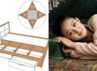 “Don’t Sleep with Your Feet Pointing West and Your Head East: An Ancient Wisdom”