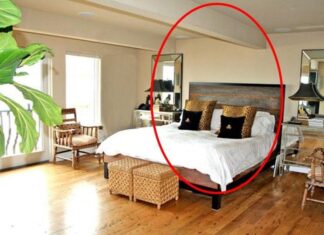 “This bed leans against two walls, a family prone to illness or calamity.” What are these two walls?