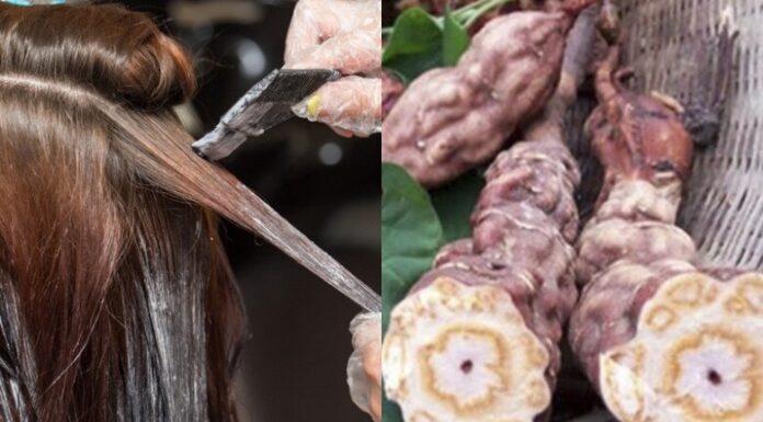 “The Secret to Hair Dye Success: A Pre-Treatment Essential”