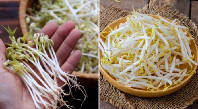 “5 Groups of People Who Should Avoid Eating Bean Sprouts Despite Their Nutritional Value”
