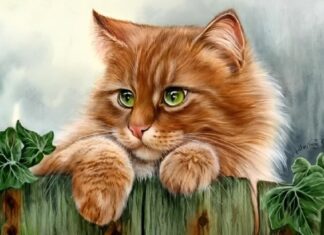 The Kind and Virtuous Will Never Want: 3 Chinese Zodiac Signs Blessed with Abundance and Prosperity