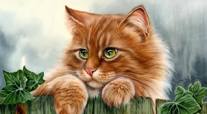 The Kind and Virtuous Will Never Want: 3 Chinese Zodiac Signs Blessed with Abundance and Prosperity