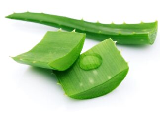 “Aloe Vera: The Ultimate Skin-Tightening Elixir”