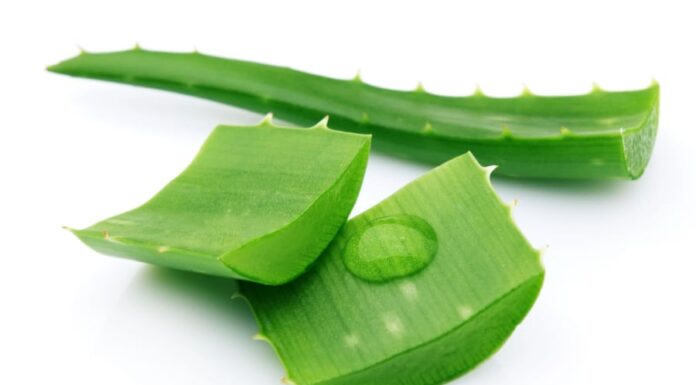 “Aloe Vera: The Ultimate Skin-Tightening Elixir”